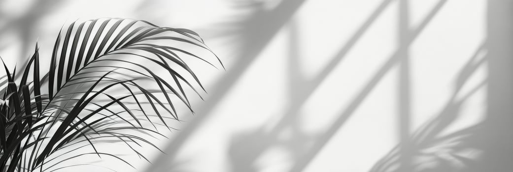 Delicate shadows cast by palm leaves in soft natural light creating a serene interior atmosphere photo