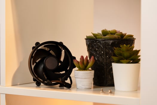 Cooler computer fan on a shelf with plants photo