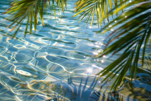 A palm tree is in the water with water ripples photo