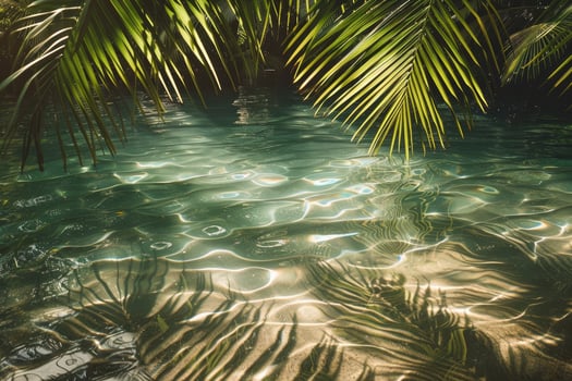 Tropical palm tree leaves on the water photo