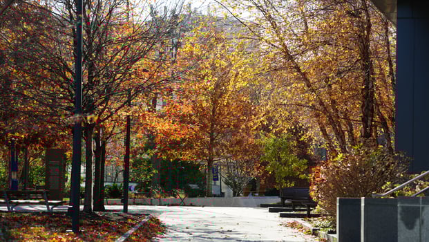 The beautiful campus autumn view in the University of Pennsylvania in Philadelphia photo