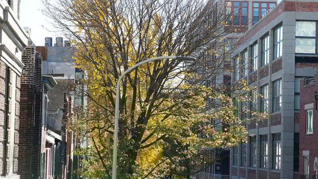 The beautiful Philadelphia city view in autumn photo