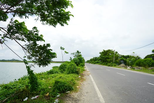 Road side wetland at Kharibari towards Rajarhat Kolkata photo