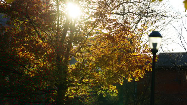 The beautiful campus autumn view in the University of Pennsylvania in Philadelphia photo