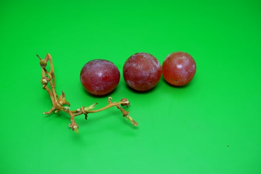 3 grapes and their branches isolated on green background. Fresh purple grapes. photo