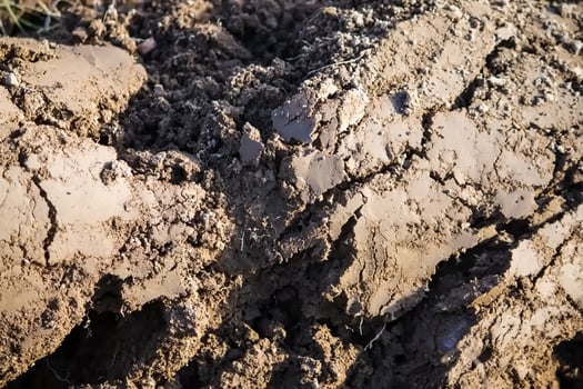 Soil for cultivation. Ploughed field. photo