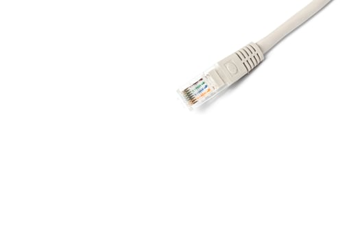 Close up of network cable photo