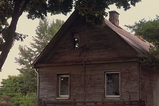 Old wooden plank house standing in greenery on dull day photo