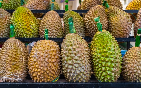 Durian fruits lying on the counter. High quality photo