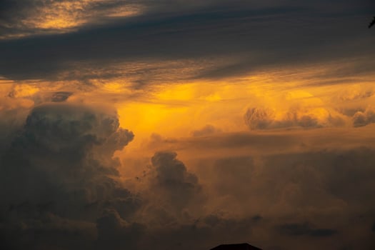 beautiful sunset over the field photo