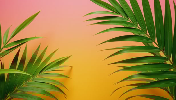 A bright summer scene featuring vibrant tropical foliage against a pinkorangeyellow gradient backdrop photo
