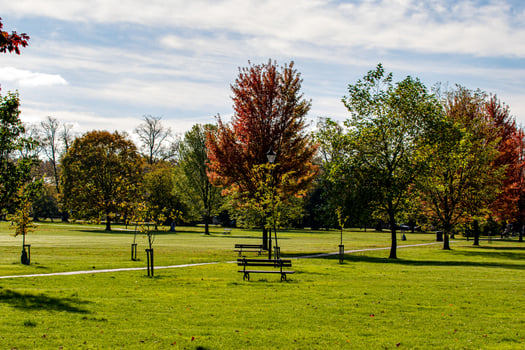 Autumn Park Landscape with Benches in Harrogate photo