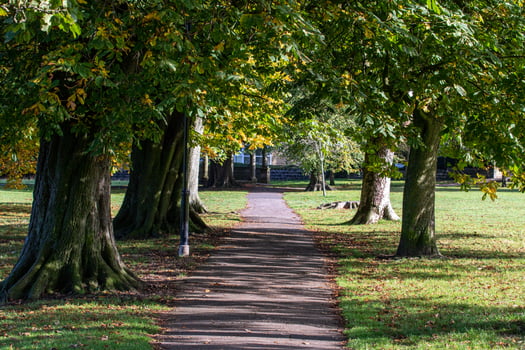 Autumn Pathway in a Serene Park in Harrogate photo