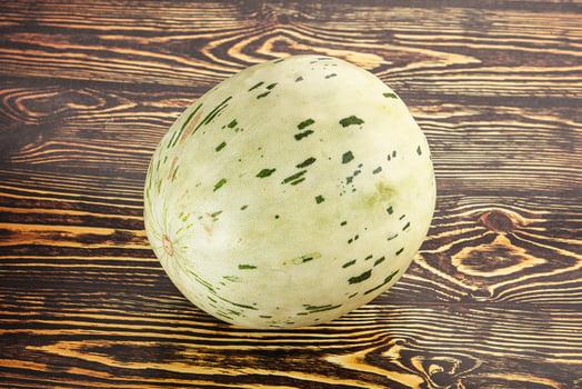 Ripe sweet juicy Dalmatin melon photo