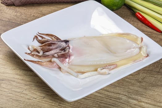 Raw fresh cuttlefish for cooking photo
