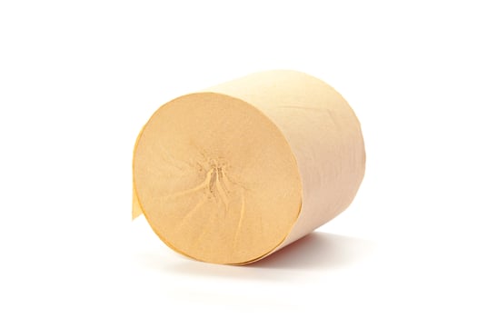 toilet paper isolated on white background photo