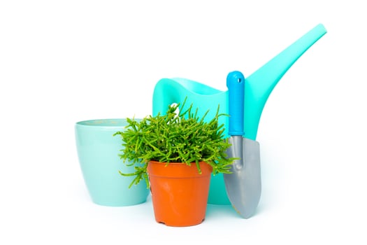 Garden tools isolated on white photo