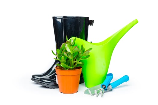 Garden tools isolated on white photo