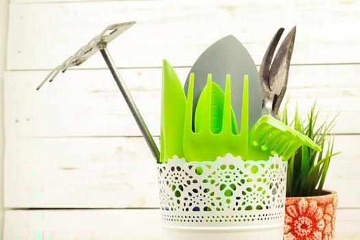 composition of garden tools photo