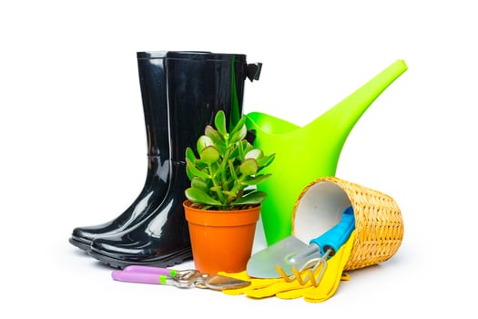 Garden tools isolated on white photo