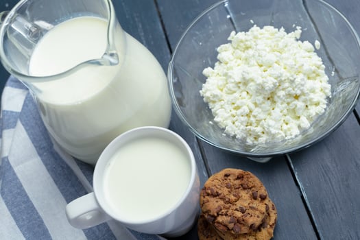 milk, cottage cheese - dairy products photo