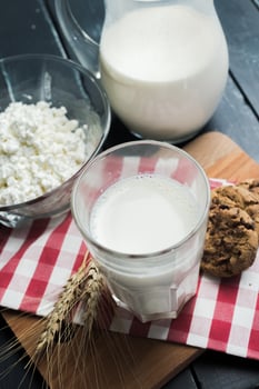milk, cottage cheese - dairy products photo