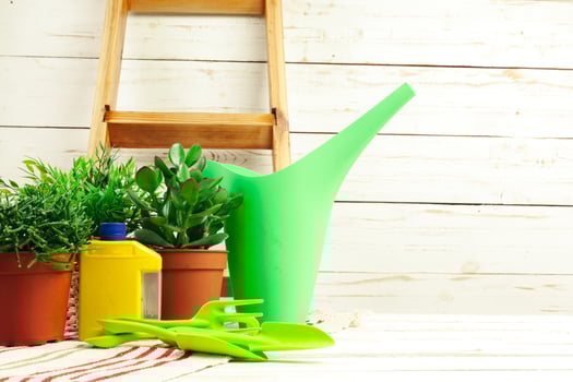 composition of garden tools photo