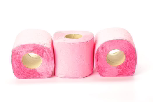 toilet paper isolated on white background photo