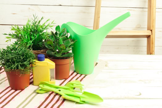 composition of garden tools photo