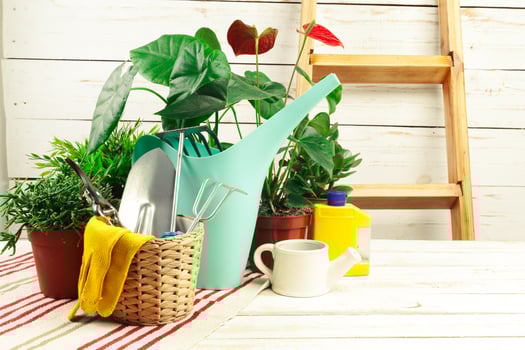 composition of garden tools photo