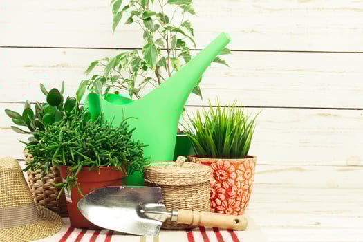 composition of garden tools photo