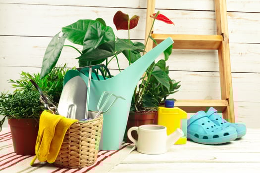 composition of garden tools photo