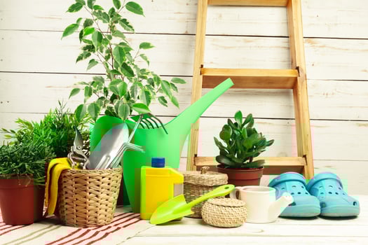 composition of garden tools photo