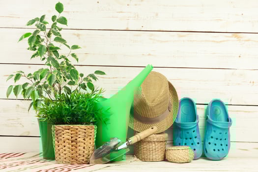 composition of garden tools photo