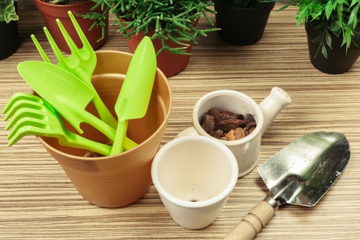 composition of garden tools photo