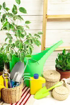 composition of garden tools photo