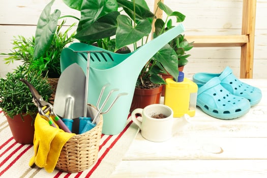 composition of garden tools photo