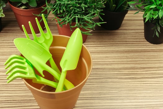 composition of garden tools photo