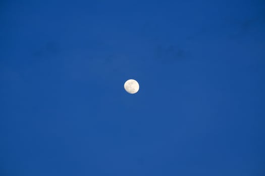 photography of the moon in the blue sky in the evening photo
