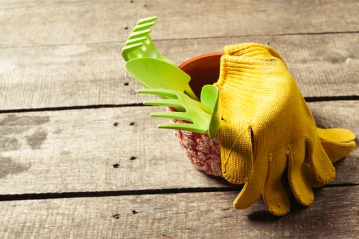 composition of garden tools photo