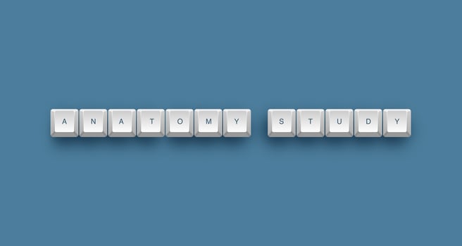 Anatomy study text on a 3d keyboard button with shadow concept series photo