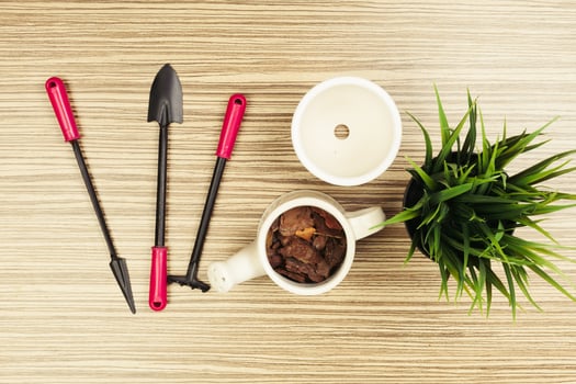 composition of garden tools photo