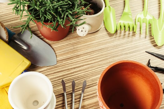 composition of garden tools photo