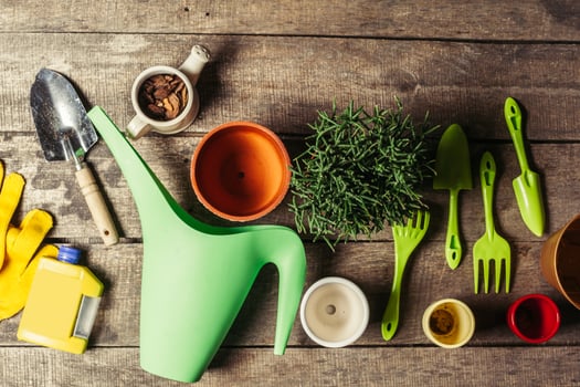 composition of garden tools photo