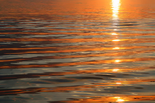 Beautiful sunset waves, natural water background photo