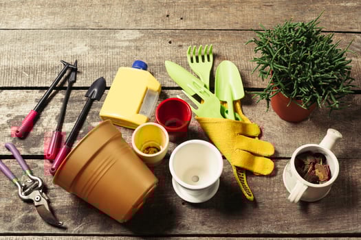composition of garden tools photo