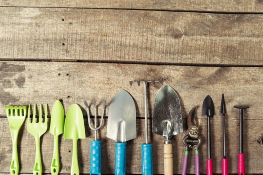 composition of garden tools photo