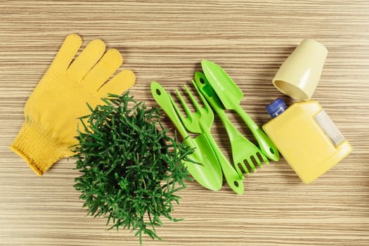 composition of garden tools photo