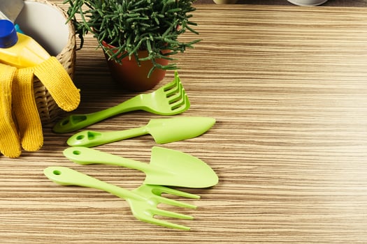 composition of garden tools photo