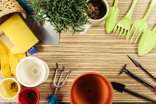 composition of garden tools photo